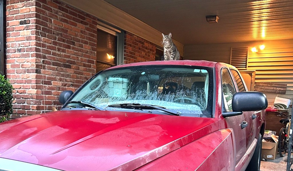 I Tawt I Taw a&nbsp;Hurricane