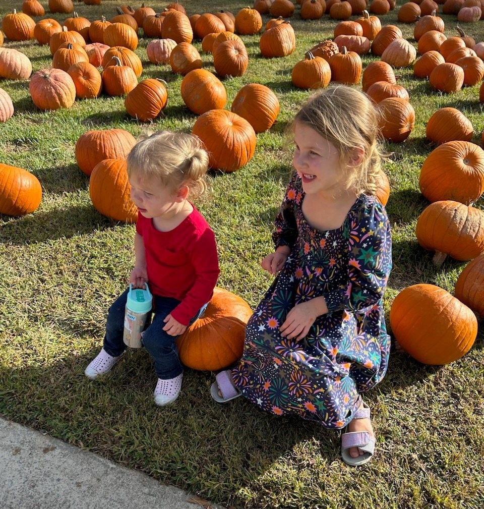 Great Pumpkin Search and Seizure