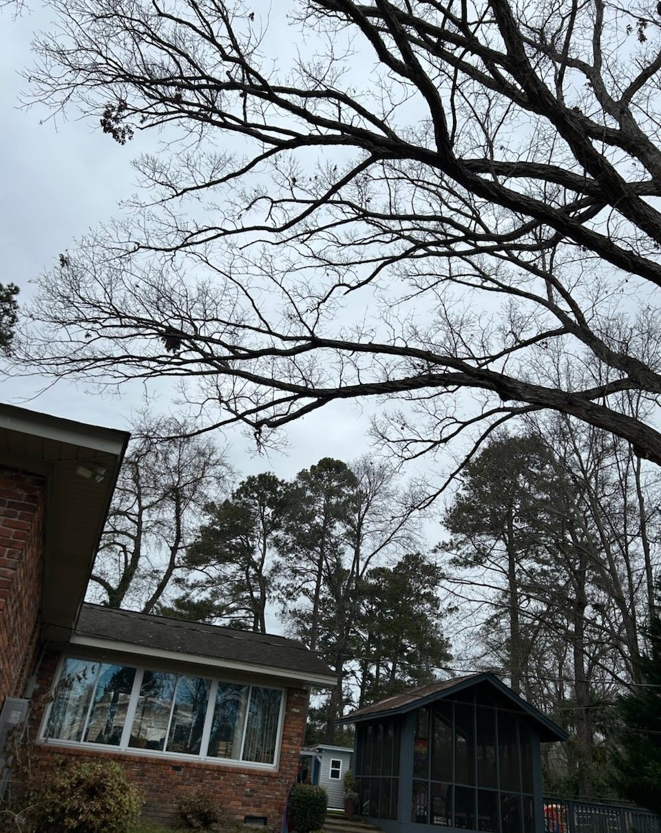 the Iceman Cometh? or is it Mother&nbsp;Nature?